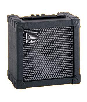 ROLAND  CUBE-15.jpg